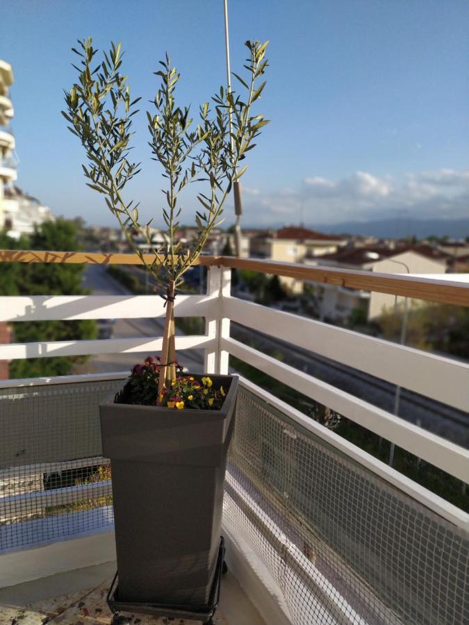 Home Up Tríkala Dış mekan fotoğraf